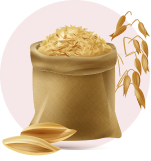 Use of millets in spicy sugar premix